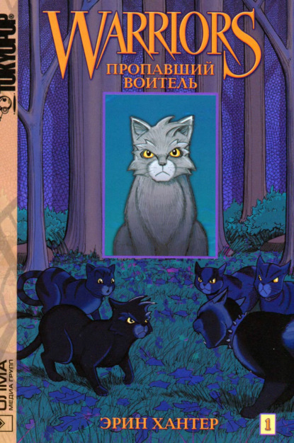 Скачать книгу Пропавший воитель