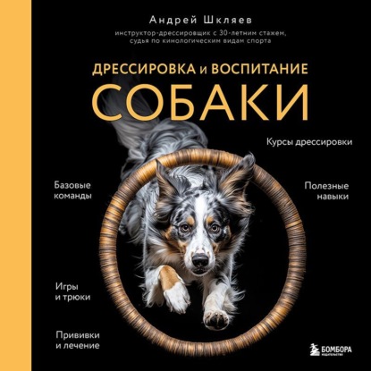 Дрессировка и воспитание собаки