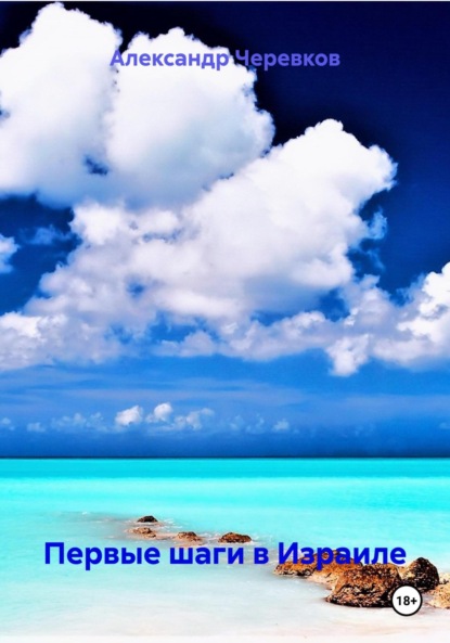 Скачать книгу Первые шаги в Израиле