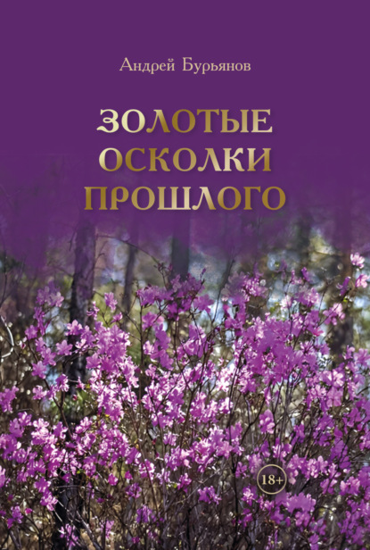 Скачать книгу Золотые осколки прошлого. Дневники и воспоминания