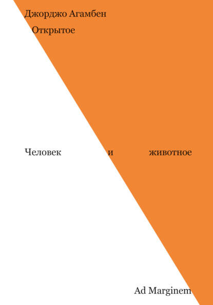 Открытое. Человек и животное
