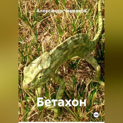 Скачать книгу Бетахон-Security-Безопасность