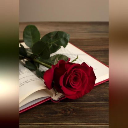 Волшебная Сказка (недетская)