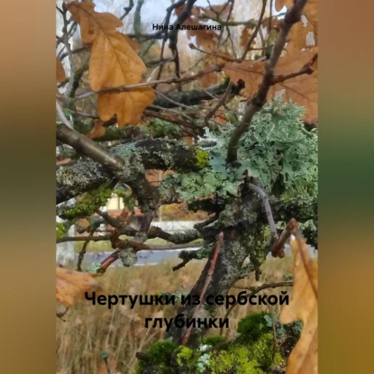 Скачать книгу Чертушки из сербской глубинки