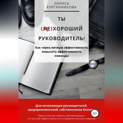 Скачать книгу Ты (не)хороший руководитель. Как через личную эффективность повысить эффективность команды