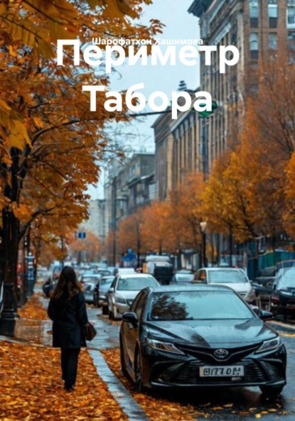 Скачать книгу Периметр Табора