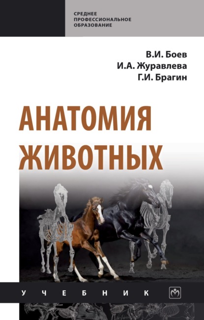Скачать книгу Анатомия животных