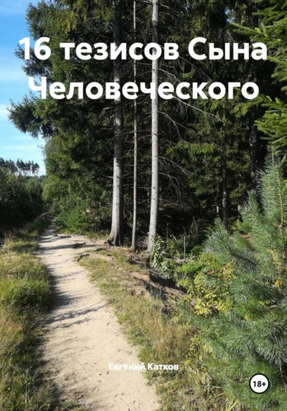 Скачать книгу 16 тезисов Сына Человеческого