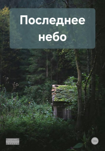 Скачать книгу Последнее небо
