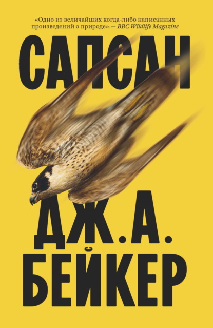 Скачать книгу Сапсан