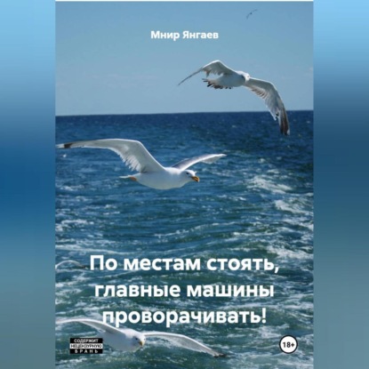 Скачать книгу ПО МЕСТАМ СТОЯТЬ, ГЛАВНЫЕ МАШИНЫ ПРОВОРАЧИВАТЬ!
