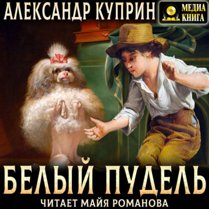 Белый пудель