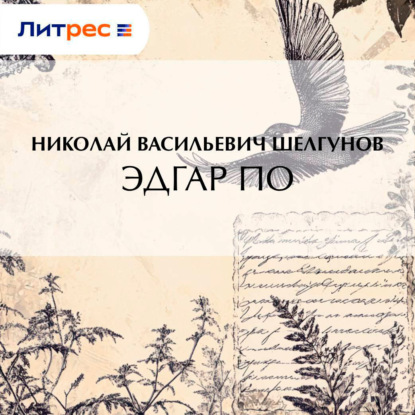 Скачать книгу Эдгар По