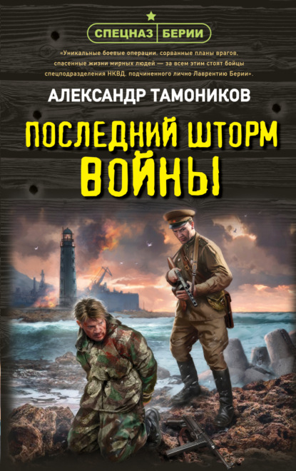 Скачать книгу Последний шторм войны