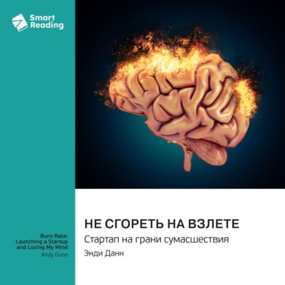 Скачать книгу Не сгореть на взлете. Стартап на грани сумасшествия. Энди Данн. Саммари