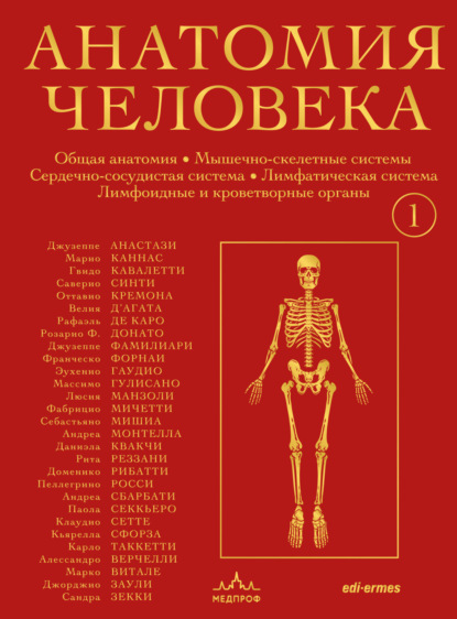 Скачать книгу Анатомия человека. Эксклюзивное издание с 50-летней историей. Том 1