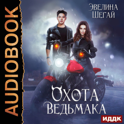 Скачать книгу Охота на ведьмака