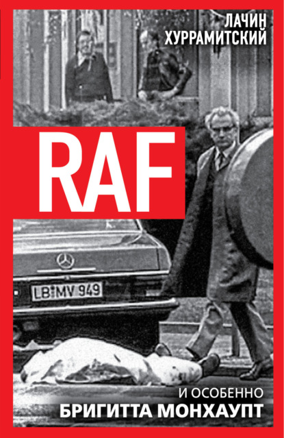 Скачать книгу RAF, и особенно Бригитта Монхаупт