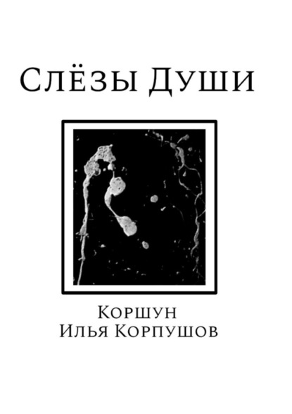 Скачать книгу Слёзы души