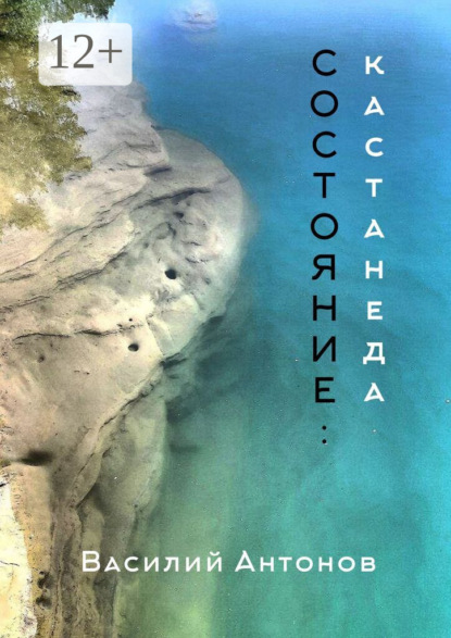 Скачать книгу Состояние: Кастанеда