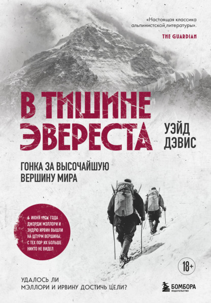 Скачать книгу В тишине Эвереста. Гонка за высочайшую вершину мира