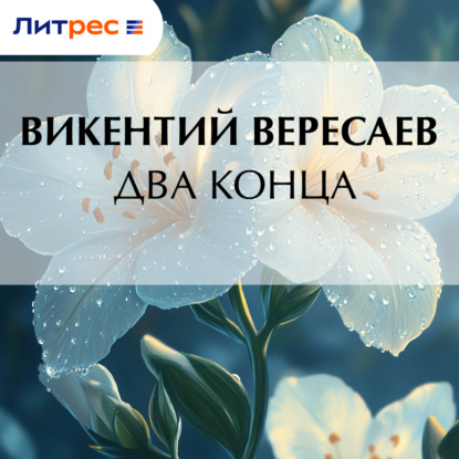 Скачать книгу Два конца