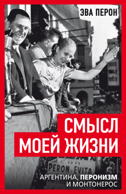 Скачать книгу Смысл моей жизни. Аргентина, перонизм и Монтонерос