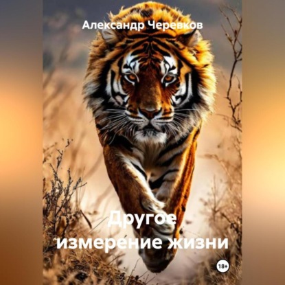 Скачать книгу Другое измерение жизни