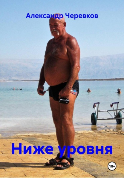 Скачать книгу Ниже уровня