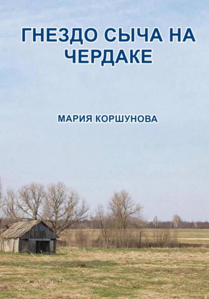 Гнездо сыча на чердаке