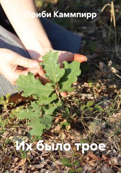 Скачать книгу Их было трое