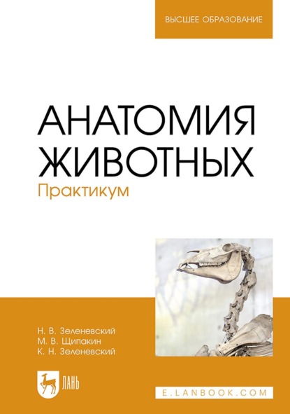 Скачать книгу Анатомия животных. Практикум. Учебное пособие для вузов. 3-е издание, стереотипное