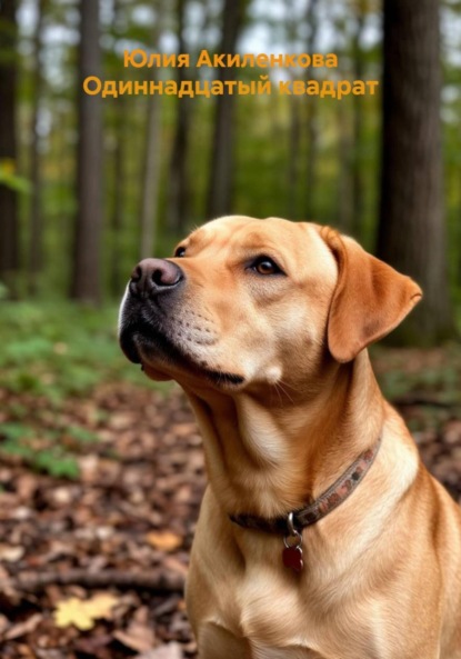 Скачать книгу Одиннадцатый квадрат
