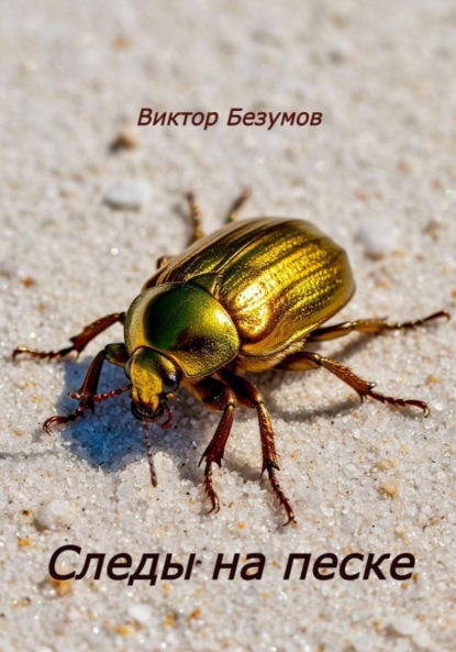 Скачать книгу Следы на песке