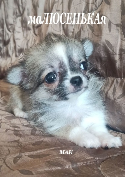 Скачать книгу маЛЮСЕНЬКАя