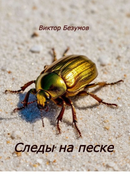 Скачать книгу Следы на песке