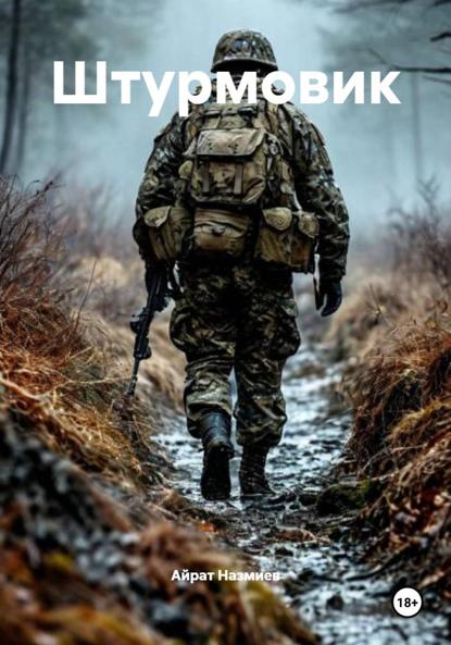 Скачать книгу Штурмовик