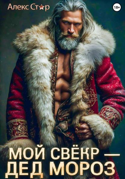 Скачать книгу Мой свёкр – Дед Мороз
