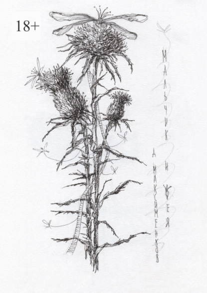 Скачать книгу Мальчик и фея