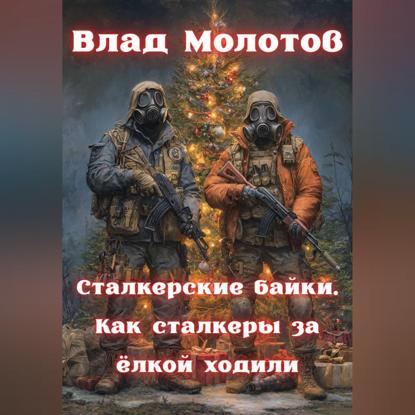 Скачать книгу Сталкерские байки. Как сталкеры за ëлкой ходили