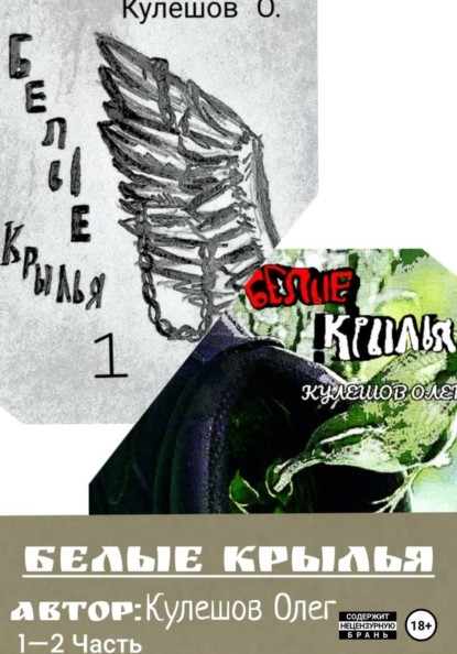 Скачать книгу Белые Крылья