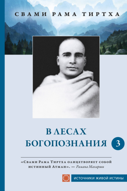 Скачать книгу В лесах Богопознания. Том 3