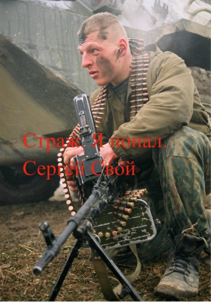 Скачать книгу Страж. Я попал