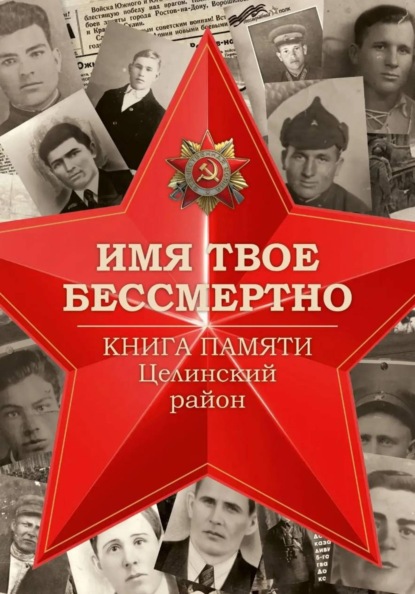 Скачать книгу Имя твоё бессмертно. Книга Памяти. Целинский район