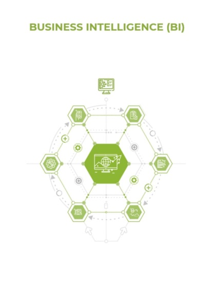 Business Intelligence (BI)