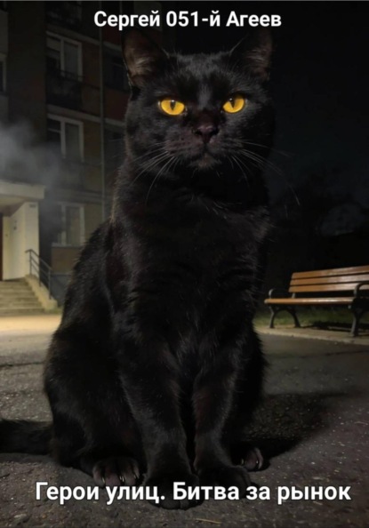 Скачать книгу Герои улиц. Битва за рынок