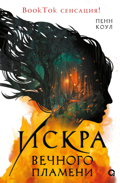 Скачать книгу Искра вечного пламени