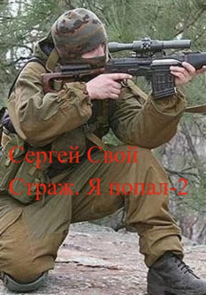 Скачать книгу Страж. Я попал – 2