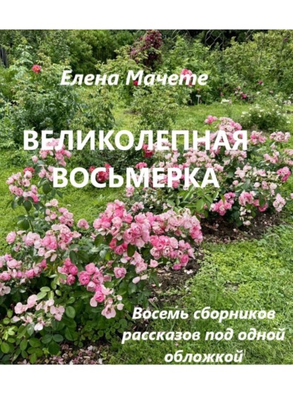 Скачать книгу Великолепная восьмерка