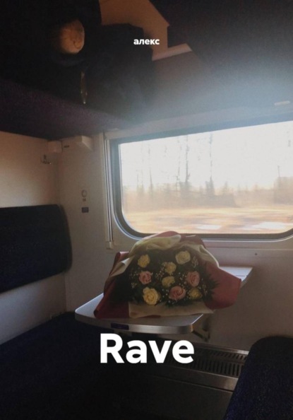 Скачать книгу Rave